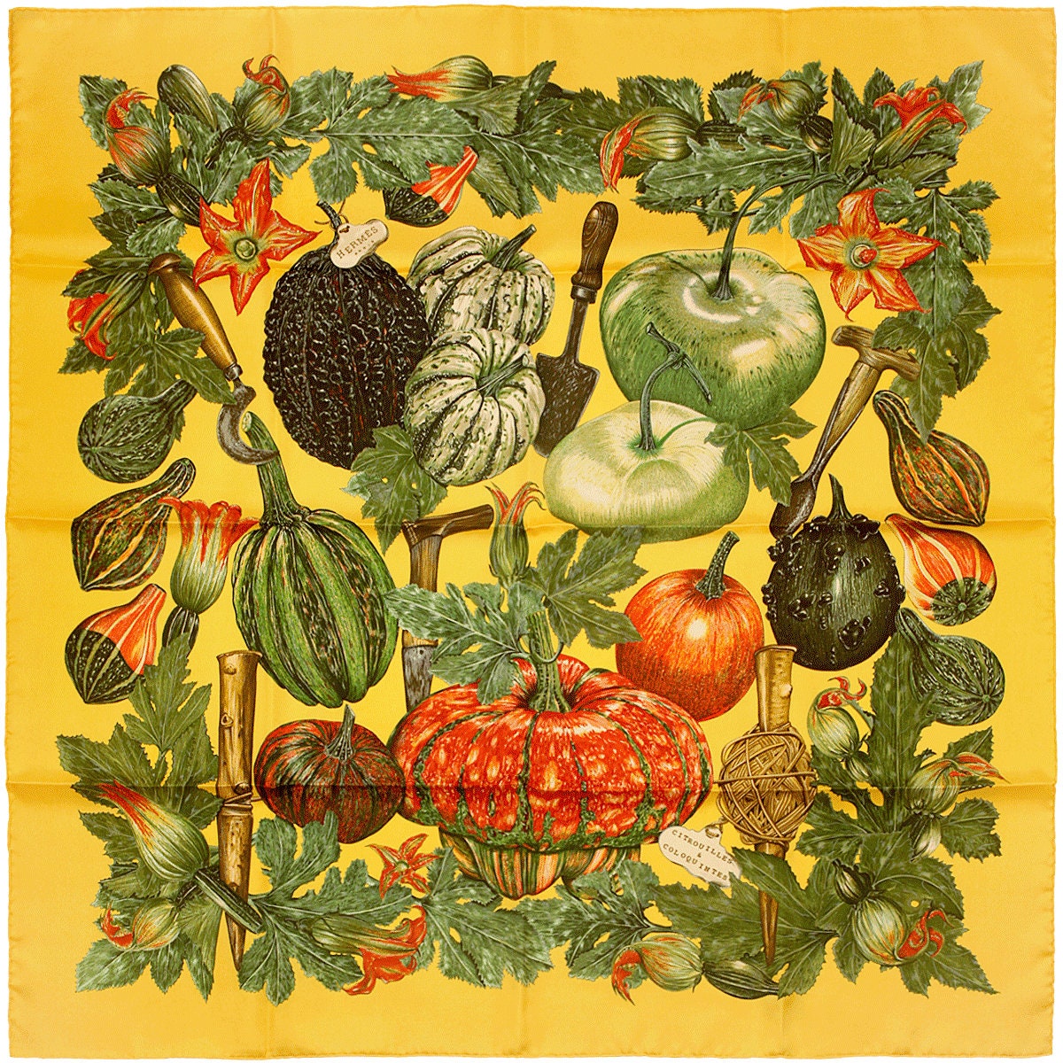 Hermes Scarf "Citrouilles et Coloquintes" by Valerie Dawlat Dumoulin 90cm Silk