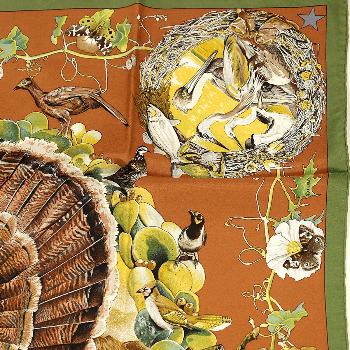 Hermes Scarf "Faune et Flora du Texas" by Kermit Oliver 90cm Silk | GRAIL Carre Foulard