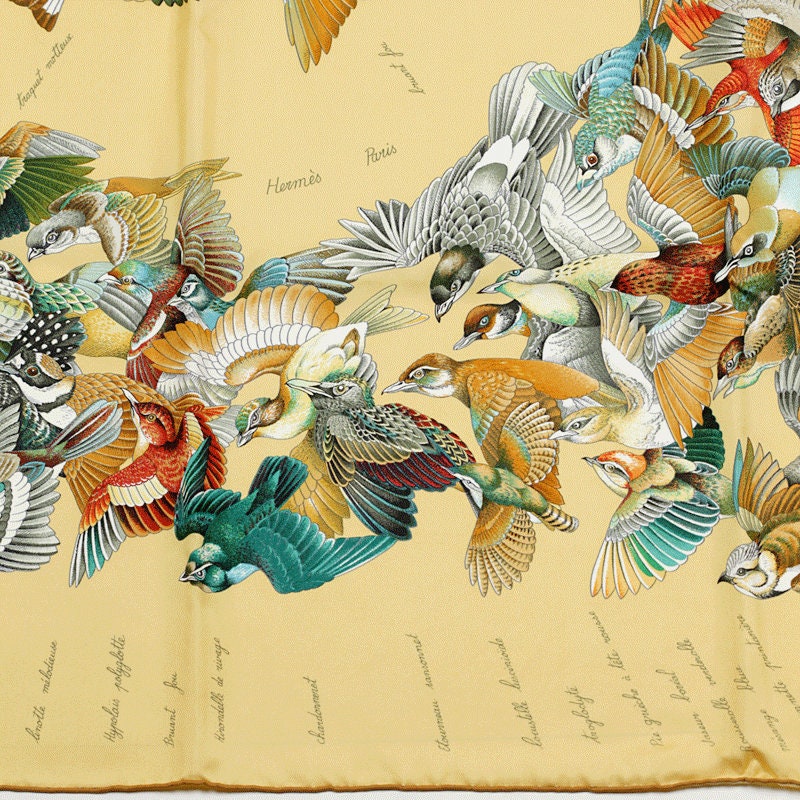 Hermes Scarf "L'Intrus" by Antoine De Jacquelot 90cm Silk | Carre Foulard