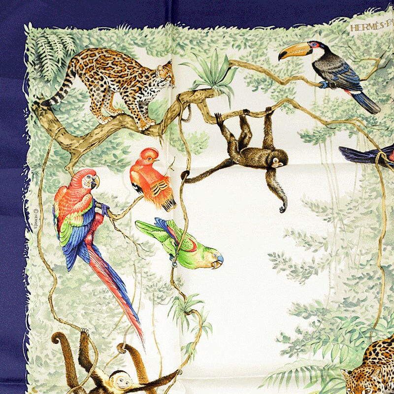 Hermes Scarf "Equateur" by Robert Dallet 90cm Silk