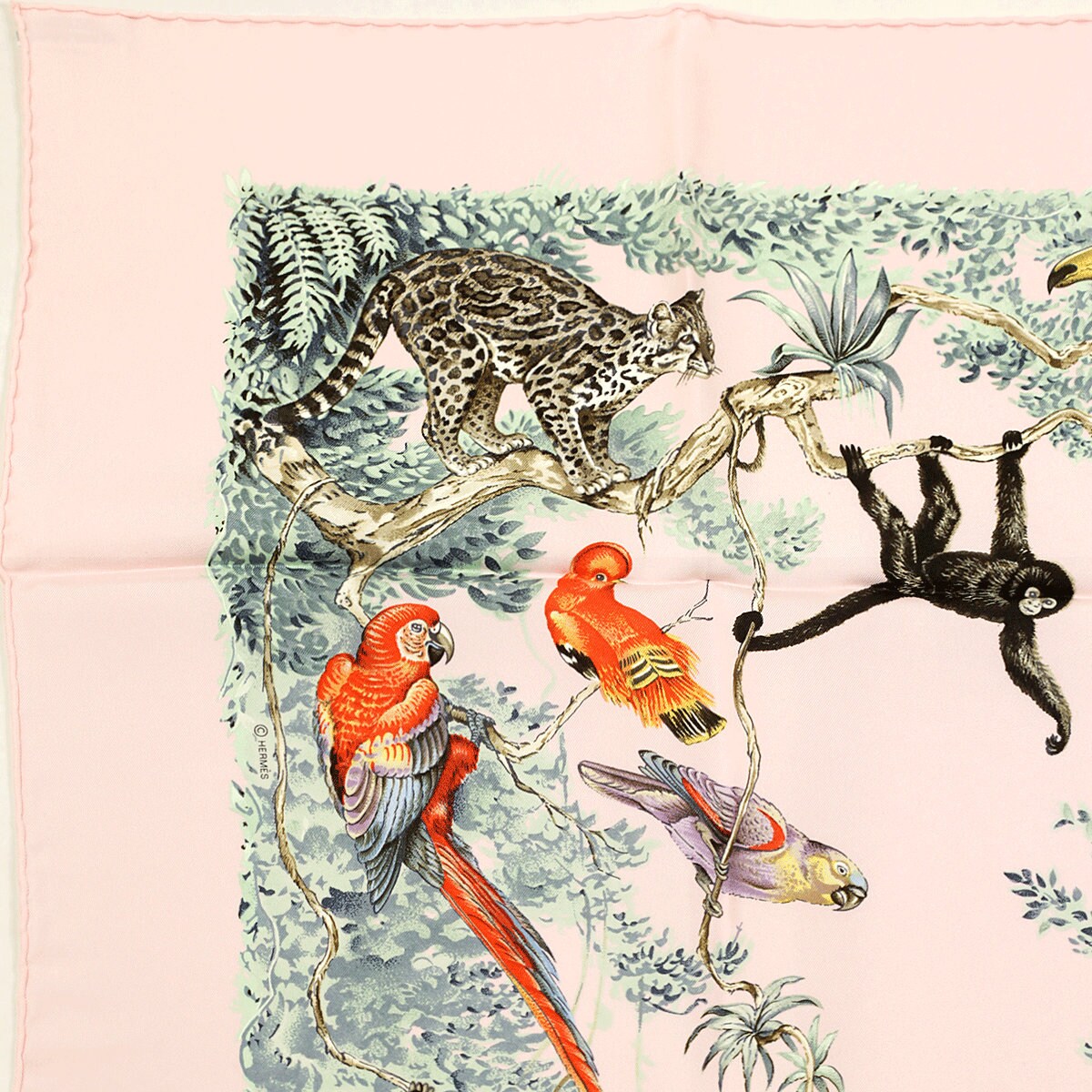 Hermes Scarf "Equateur" by Robert Dallet 90cm Silk | Wash Carre