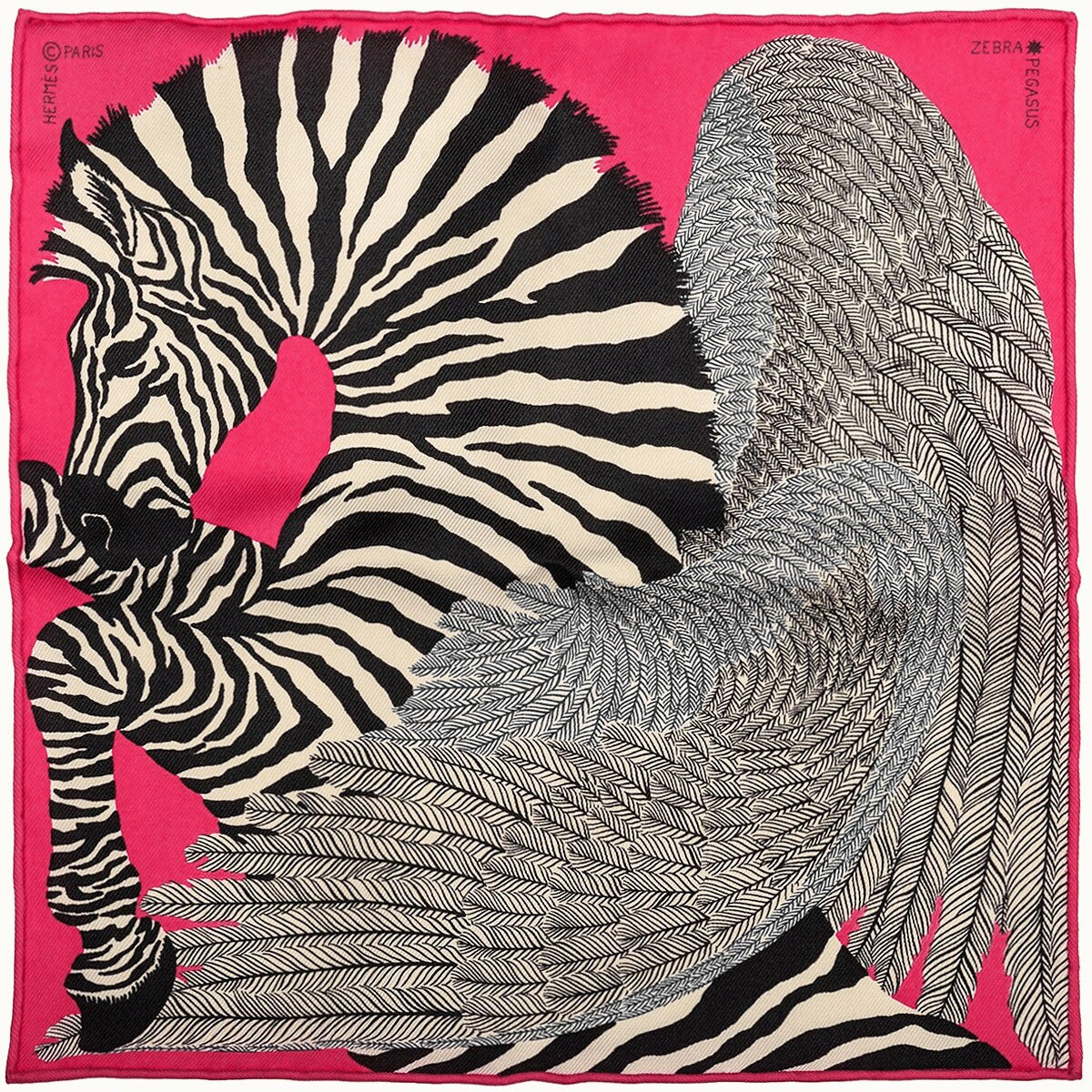 Hermes Cashmere Shawl 140cm "Zebra Pegasus" by Alice Shirley | Scarf Carre Foulard