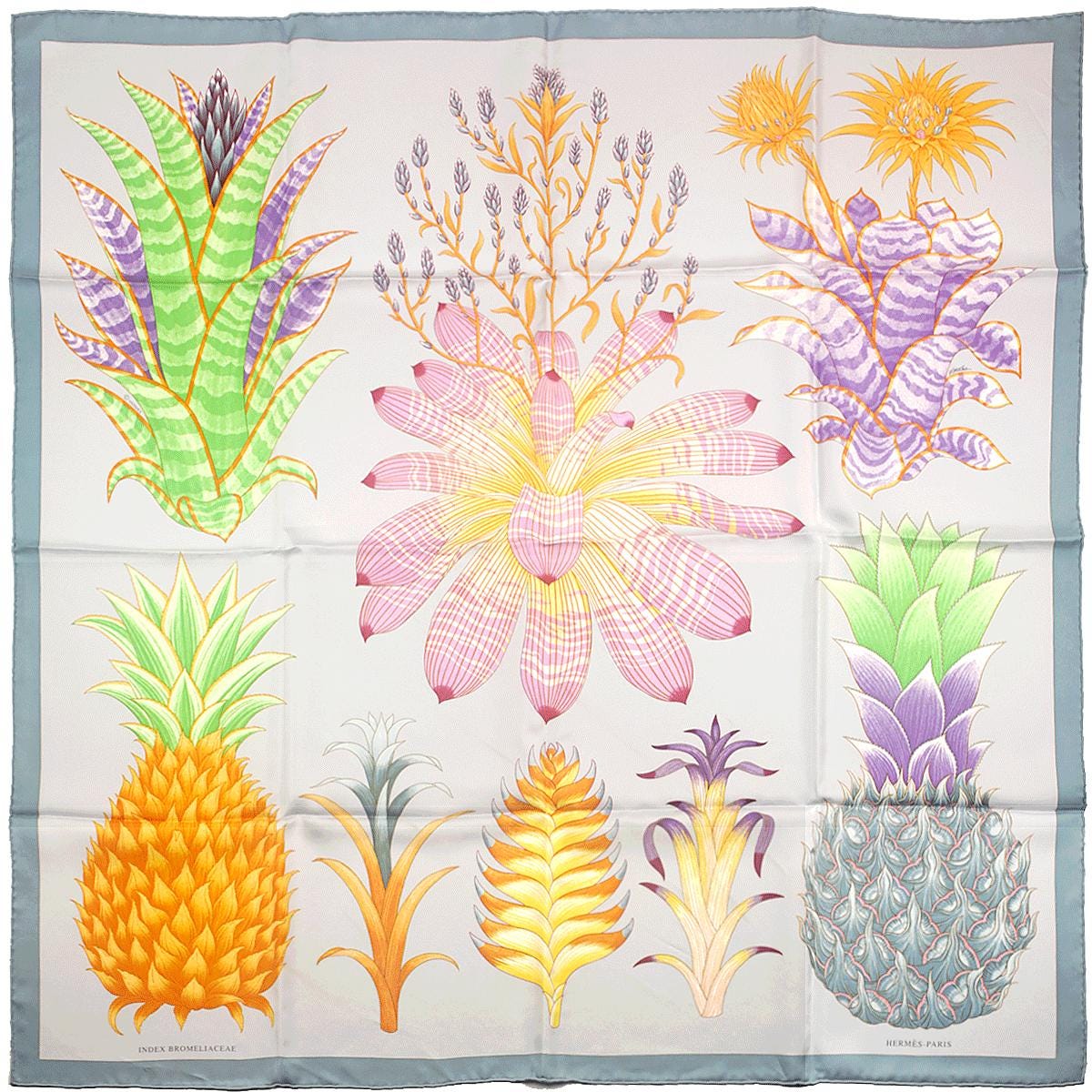 Hermes Scarf "Index Bromeliaceae" by Katie Scott 90cm Silk