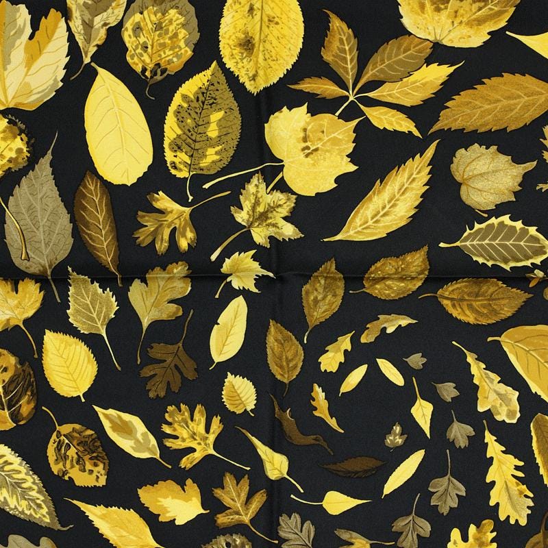Hermes Scarf "Tourbillon" by Christiane Vauzelles 90cm Silk