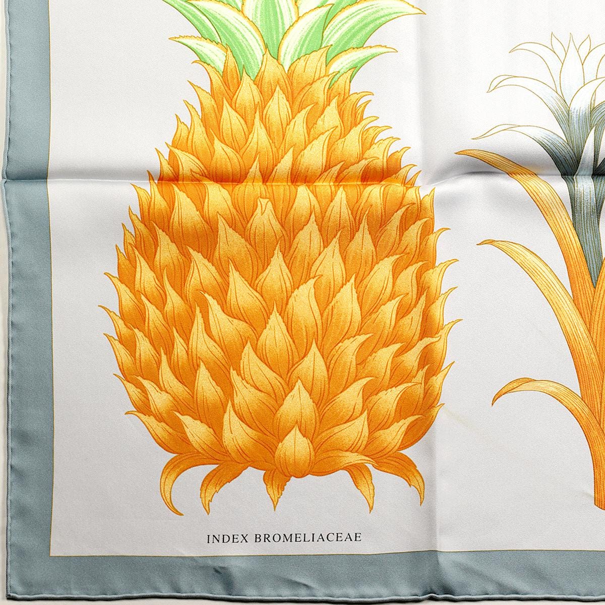 Hermes Scarf "Index Bromeliaceae" by Katie Scott 90cm Silk