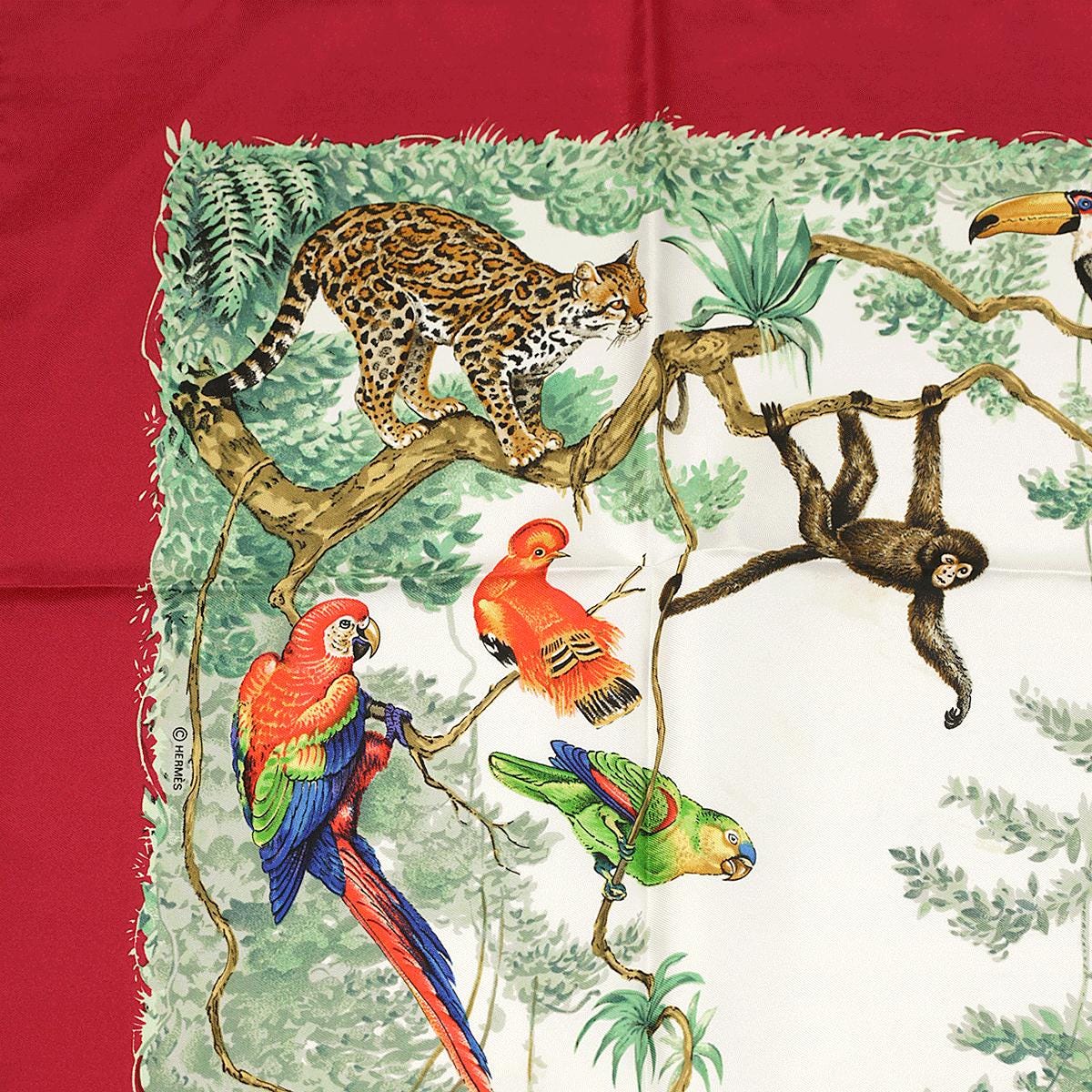 Hermes Scarf "Equateur" by Robert Dallet 90cm Silk | Foulard Carre