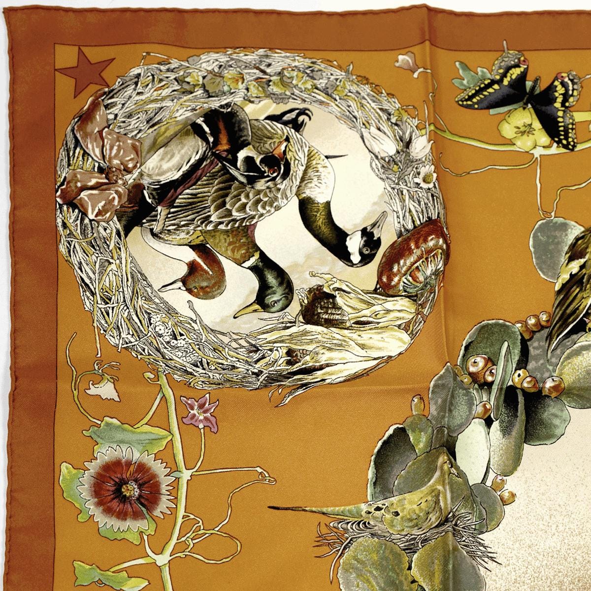 Hermes Scarf "Faune et Flora du Texas" by Kermit Oliver 90cm Silk