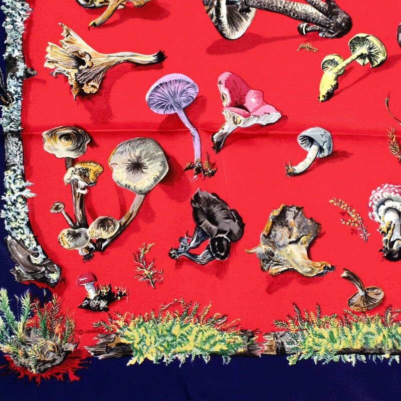 Hermes Scarf "Champignons" by Anne Gavarni & Françoise De La Perriere 90cm Silk | Carre Foulard