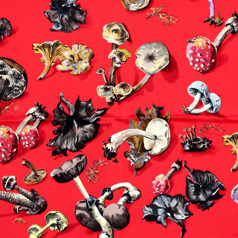 Hermes Scarf "Champignons" by Anne Gavarni & Françoise De La Perriere 90cm Silk | Carre Foulard