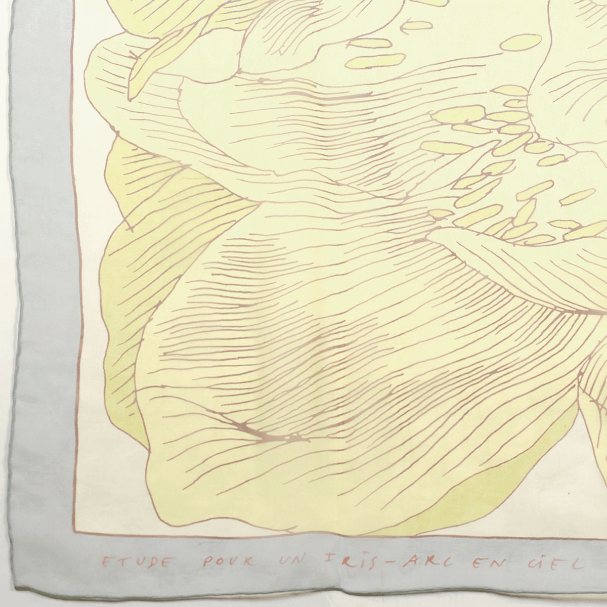 Hermes Scarf "Etude Pour Une Iris Arc-En-Ciel" by Benoit Pierre Emery 140cm Mousseline Chiffon Silk | Carre Foulard
