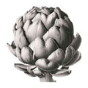 Exquisite Artichoke – Preowned Hermès Scarves and other Accessories