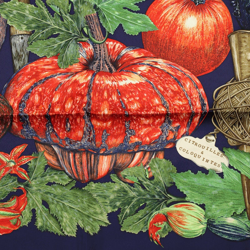 Hermes Scarf "Citrouilles et Coloquintes" by Valerie Dawlat Dumoulin 90cm Silk