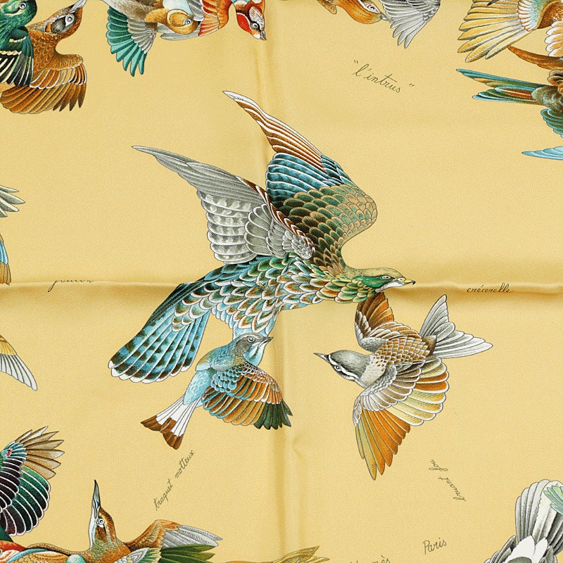 Hermes Scarf "L'Intrus" by Antoine De Jacquelot 90cm Silk | Carre Foulard