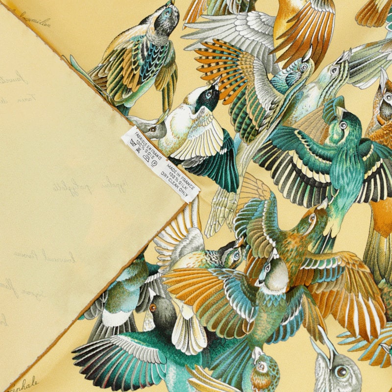Hermes Scarf "L'Intrus" by Antoine De Jacquelot 90cm Silk | Carre Foulard