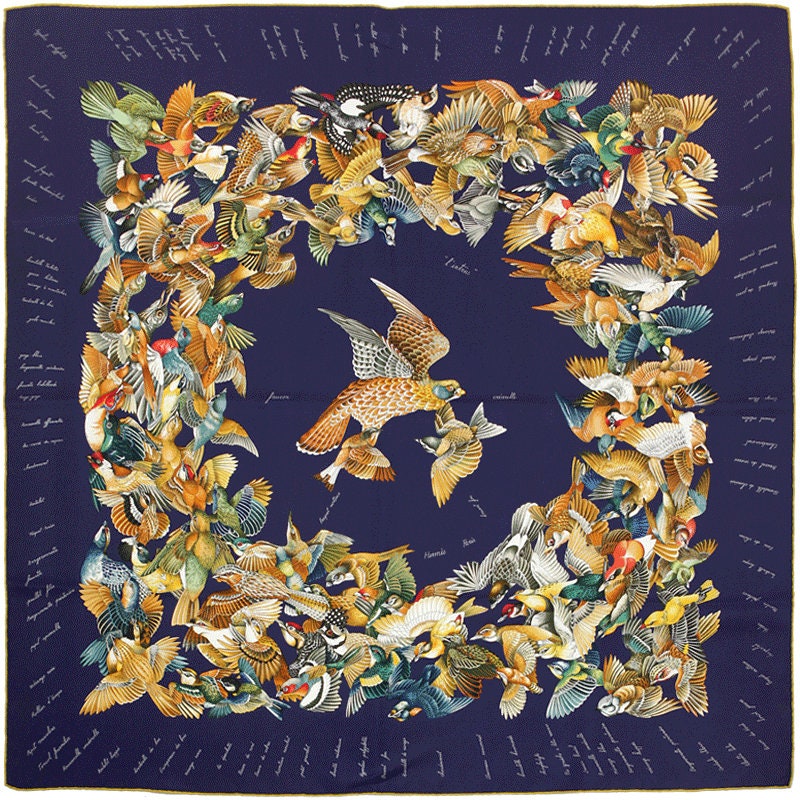Hermes Scarf "L'Intrus" by Antoine De Jacquelot 90cm Silk