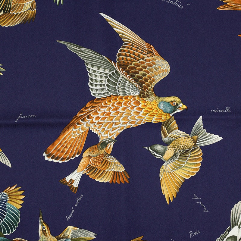 Hermes Scarf "L'Intrus" by Antoine De Jacquelot 90cm Silk