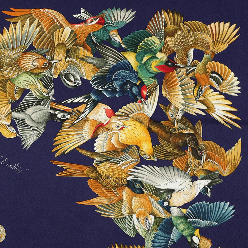 Hermes Scarf "L'Intrus" by Antoine De Jacquelot 90cm Silk