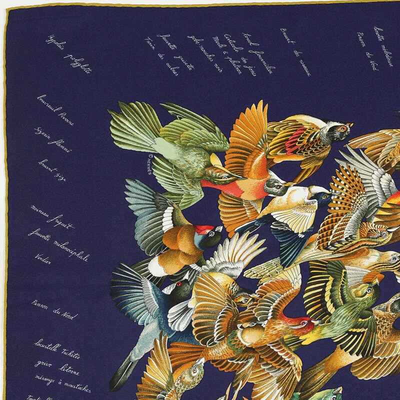 Hermes Scarf "L'Intrus" by Antoine De Jacquelot 90cm Silk