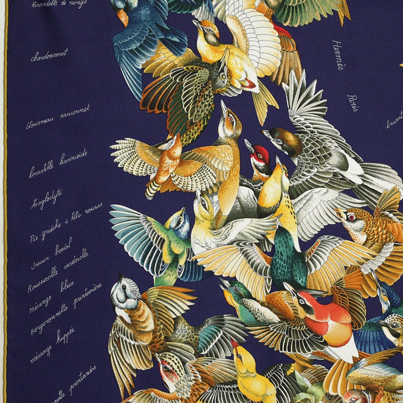 Hermes Scarf "L'Intrus" by Antoine De Jacquelot 90cm Silk