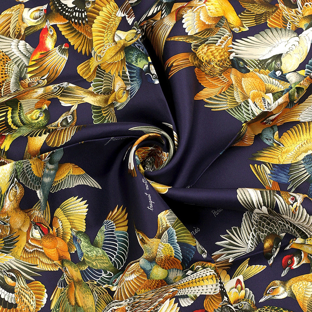 Hermes Scarf "L'Intrus" by Antoine De Jacquelot 90cm Silk