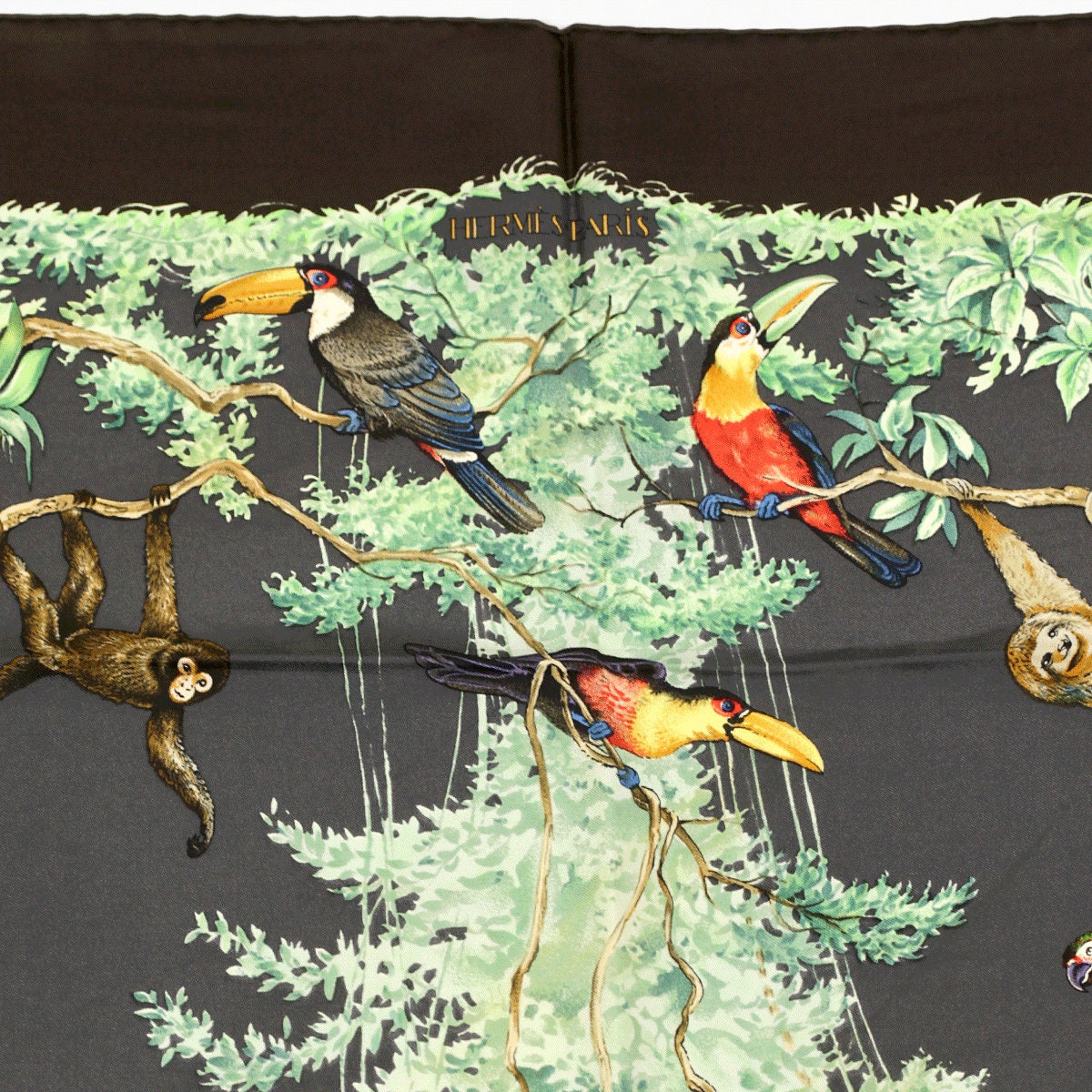 Hermes Scarf "Equateur" by Robert Dallet 90cm Silk