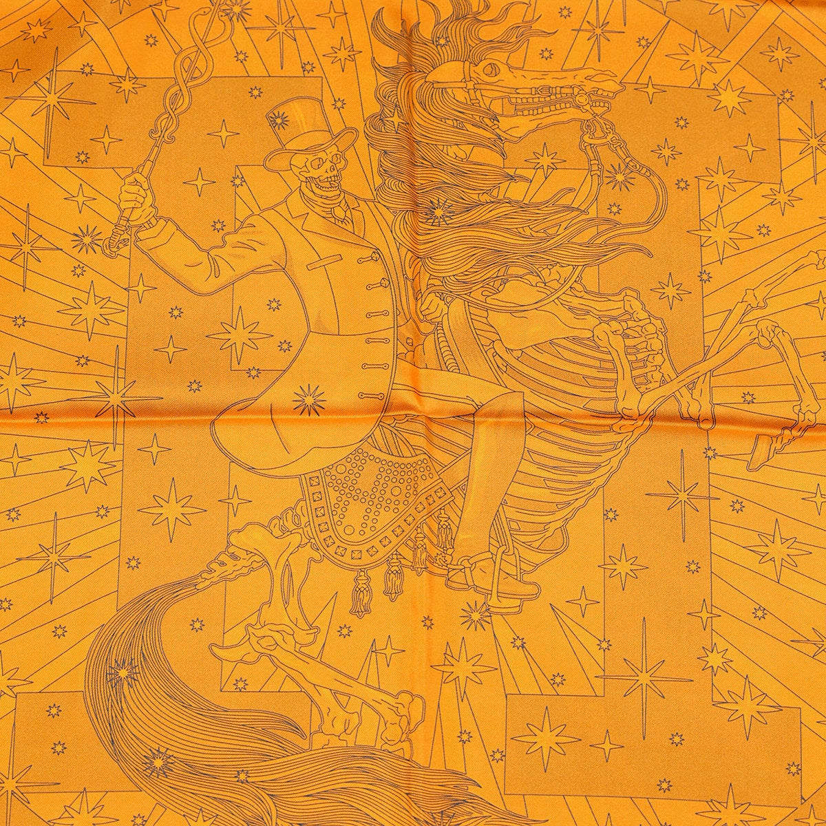 Hermes Scarf 
