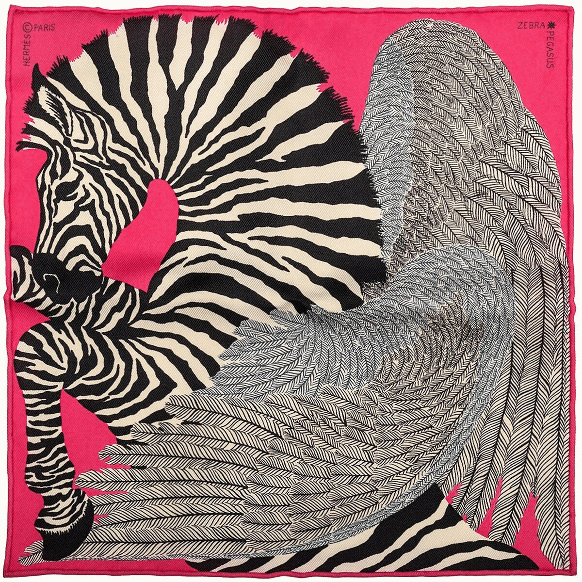 Hermes Cashmere Shawl 140cm Zebra Pegasus by Alice Shirley – Exquisite  Artichoke