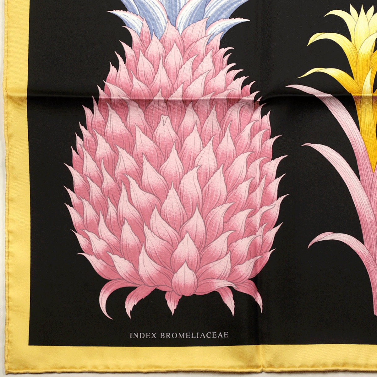 Hermes Scarf "Index Bromeliaceae" by Katie Scott 90cm Silk | Carre Foulard NWT