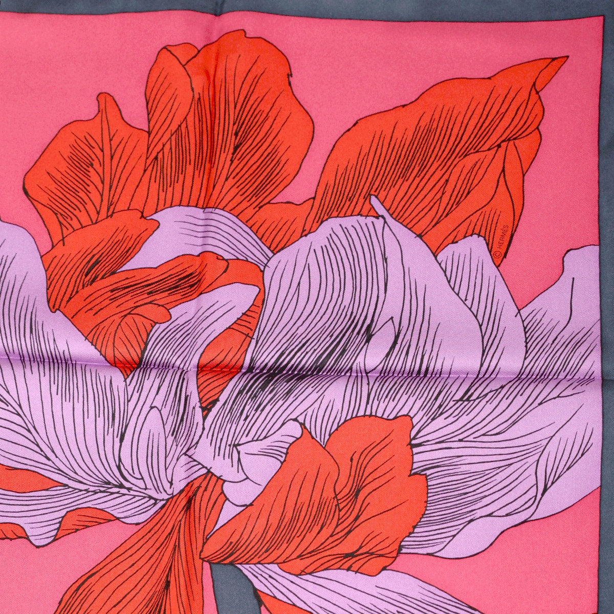 Hermes Scarf "Etude Pour un Iris Arc-en-Ciel" by Benoit Pierre Emery 90cm Silk | Carre Foulard