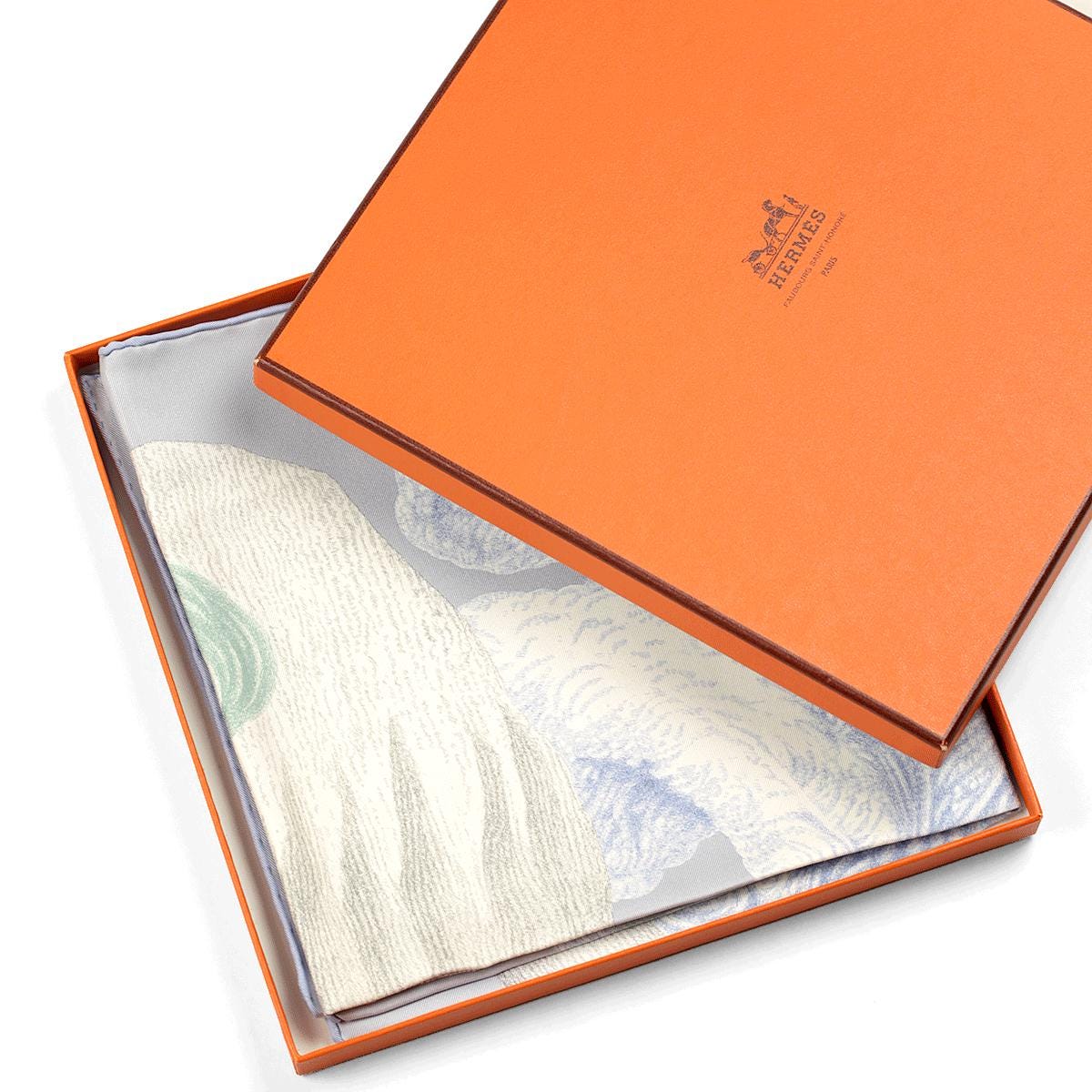 Hermes Scarf "Plumets et Panaches" by Florence Manlik 90cm Silk | NWT