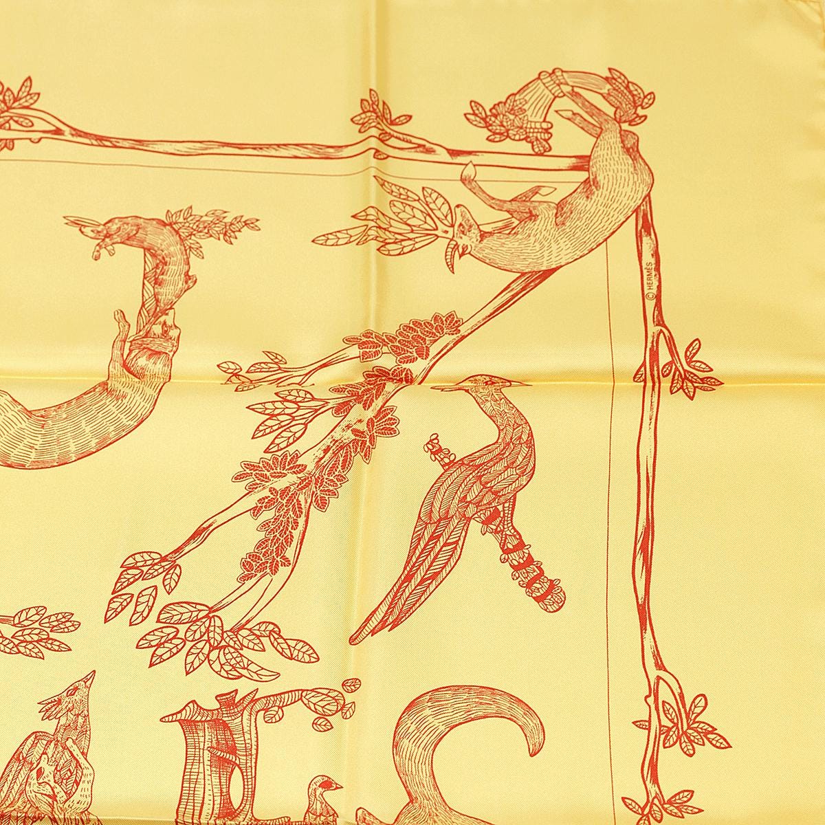 Hermes Scarf 