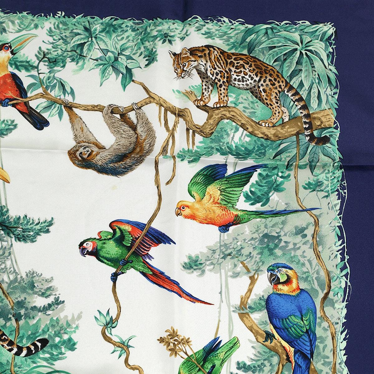 Hermes Scarf "Equateur" by Robert Dallet 90cm Silk