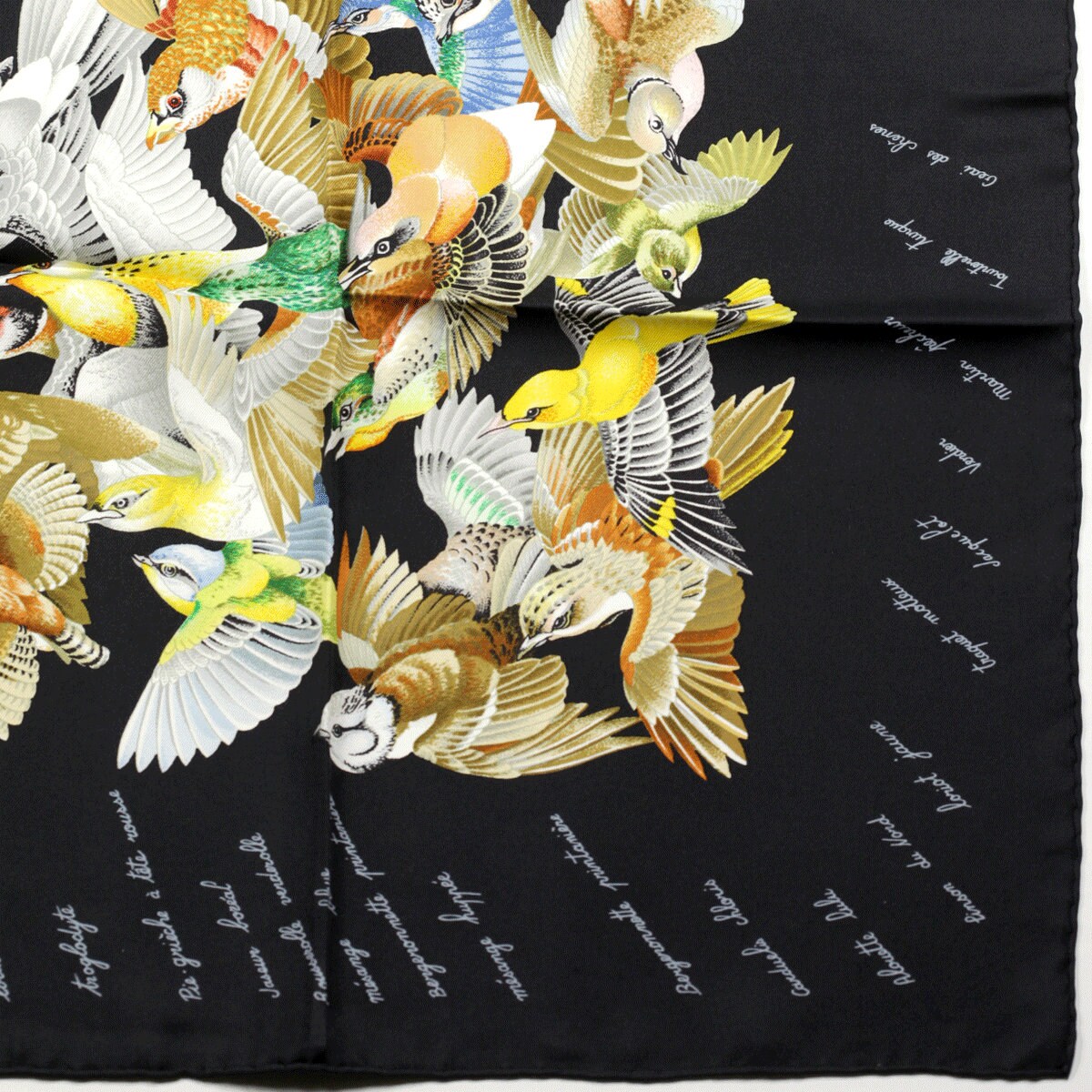 Hermes Scarf "L'Intrus" by Antoine De Jacquelot 90cm Silk