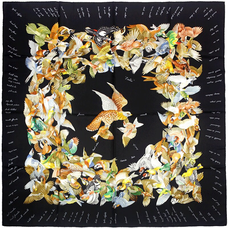 Hermes Scarf "L'Intrus" by Antoine De Jacquelot 90cm Silk