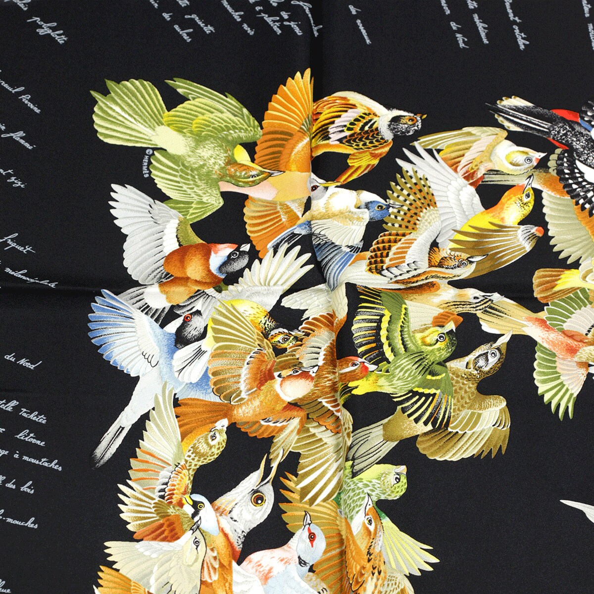 Hermes Scarf 